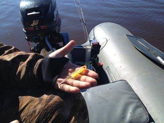 post-1299-0-18192700-1403626190_thumb.jp