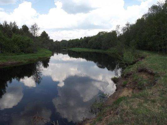 post-1502-0-04683800-1402246067_thumb.jp