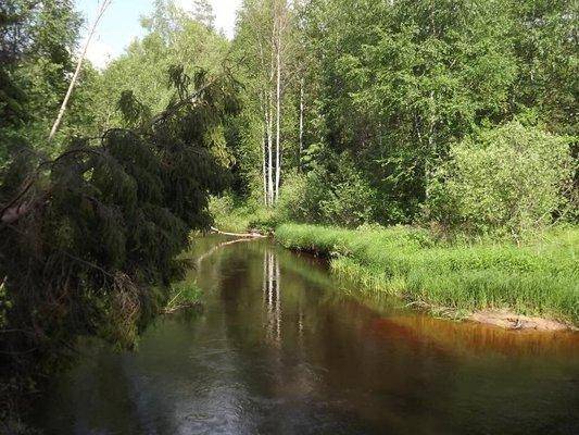 post-1502-0-46767300-1402245441_thumb.jp