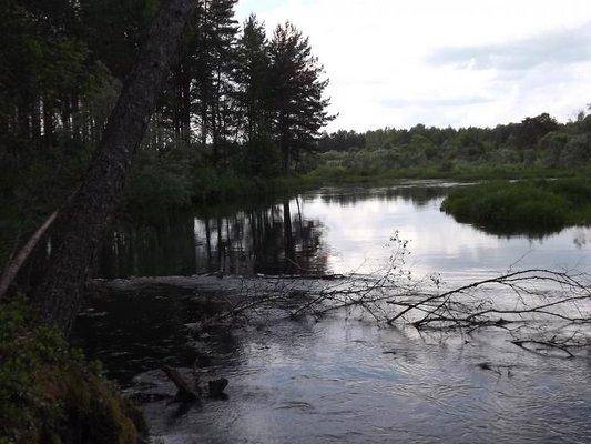 post-1502-0-49863000-1402246231_thumb.jp