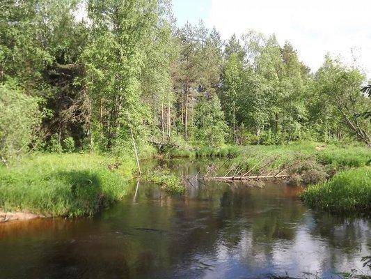 post-1502-0-78868600-1402245422_thumb.jp