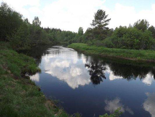 post-1502-0-84484300-1402246084_thumb.jp