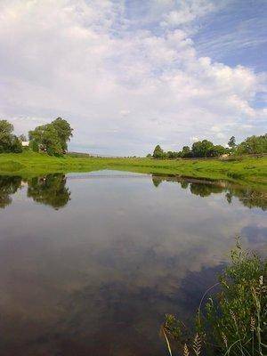 post-1558-0-34016900-1402654415_thumb.jp