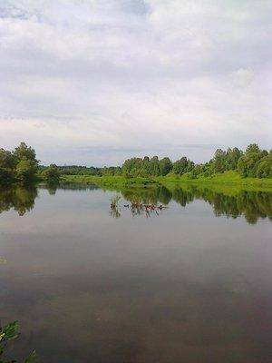 post-1558-0-59304900-1402654435_thumb.jp