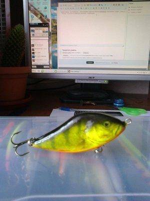 post-1558-0-65725800-1403336583_thumb.jp