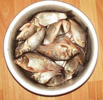 post-1594-0-53587900-1401601928_thumb.jp