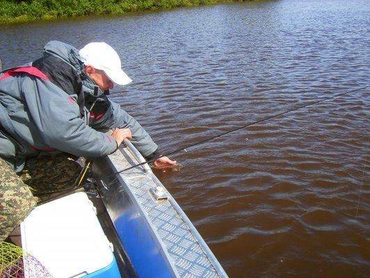 post-1044-0-29083500-1434223954_thumb.jp