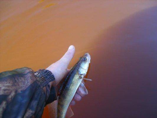 post-1044-0-57704600-1434224920_thumb.jp