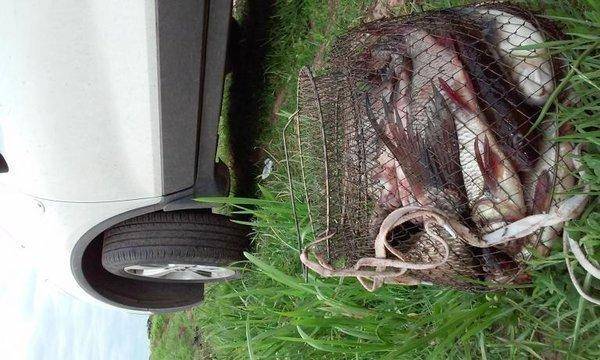 post-1221-0-03031800-1433939053_thumb.jp