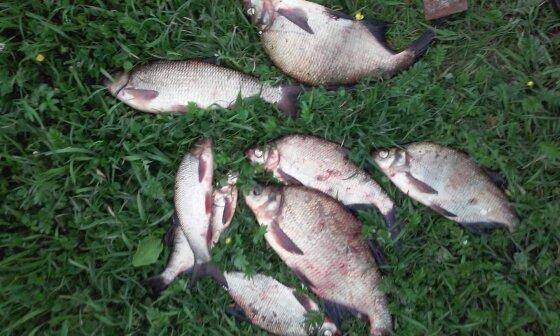 post-1221-0-88483200-1433771535_thumb.jp