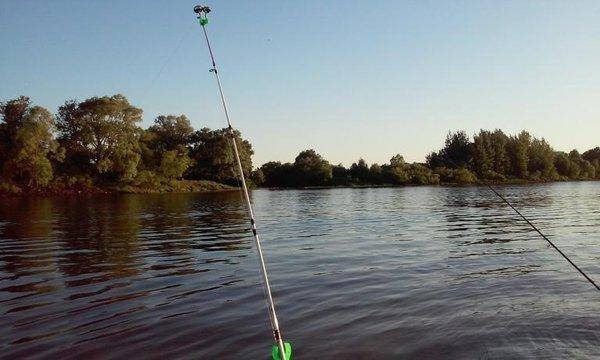 post-1221-0-91144300-1433939029_thumb.jp