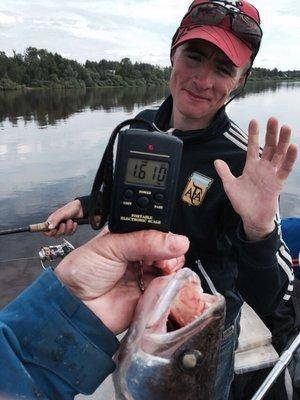 post-1327-0-25502100-1434841703_thumb.jp