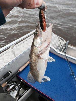 post-1327-0-38280500-1434491586_thumb.jp