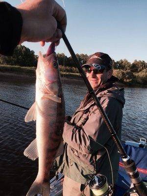 post-1327-0-40952500-1433888017_thumb.jp