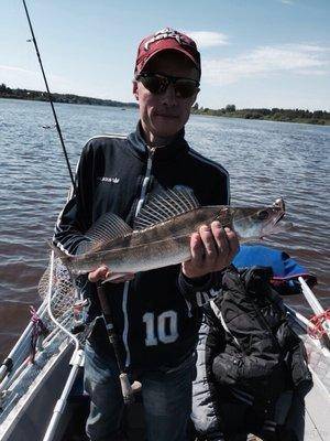 post-1327-0-43802100-1434841322_thumb.jp