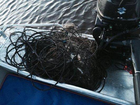 post-1327-0-44602400-1434492808_thumb.jp