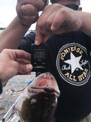 post-1327-0-45739800-1435422361_thumb.jp