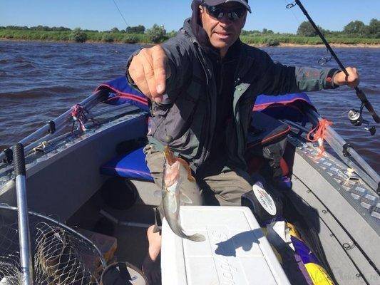 post-1327-0-52602200-1433707957_thumb.jp