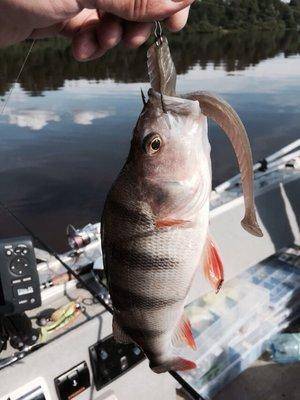 post-1327-0-58160000-1434844535_thumb.jp