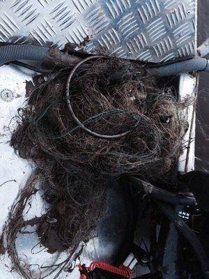 post-1327-0-58763200-1435699808_thumb.jp