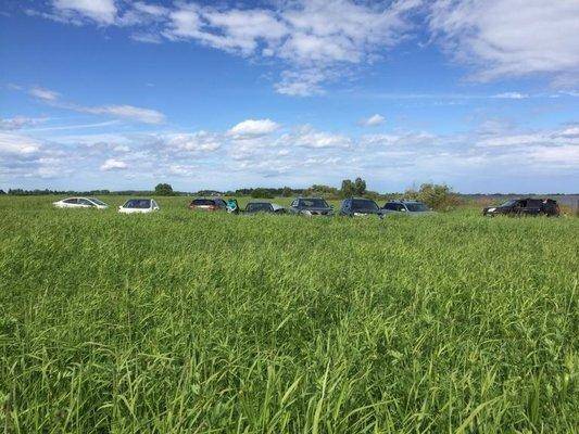 post-1327-0-61525600-1434214449_thumb.jp