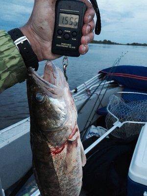 post-1327-0-66233700-1435700235_thumb.jp