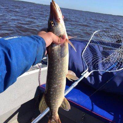 post-1327-0-71609300-1434215118_thumb.jp