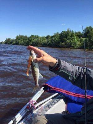 post-1327-0-93670400-1433707943_thumb.jp