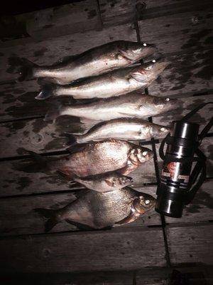 post-1327-0-95337900-1434843368_thumb.jp