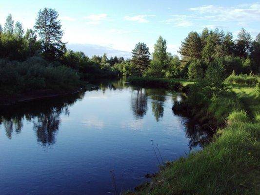 post-1502-0-42313200-1433571746_thumb.jp