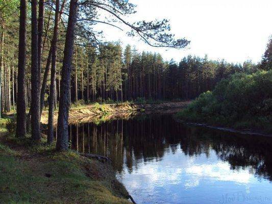 post-1502-0-51700600-1433571775_thumb.jp