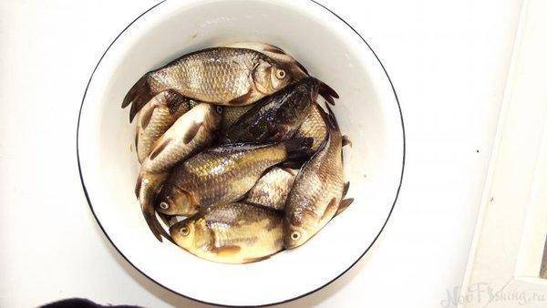 post-1594-0-81153800-1433650269_thumb.jp