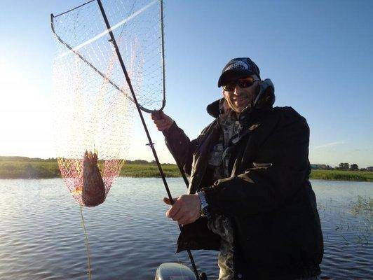 post-1808-0-66591400-1433588184_thumb.jp