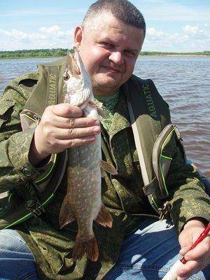 post-2013-0-71258300-1434806825_thumb.jp