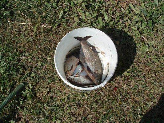 post-2013-0-92830600-1434806760_thumb.jp