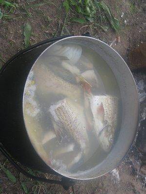 post-2414-0-27672700-1434828673_thumb.jp