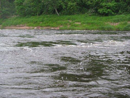 post-2414-0-54909600-1434314415_thumb.jp