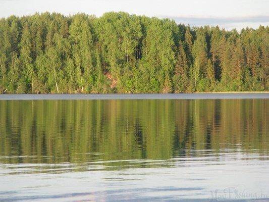 post-2414-0-71312200-1433884540_thumb.jp