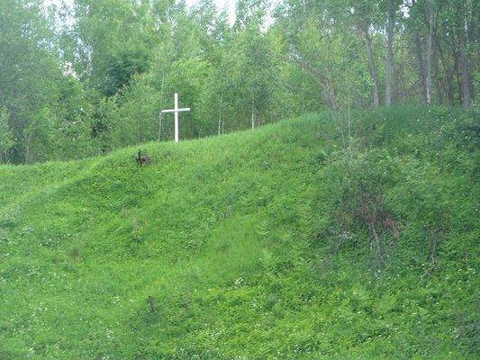 post-2414-0-71619800-1434313606_thumb.jp