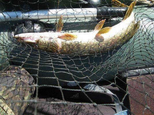 post-2414-0-83454700-1434313242_thumb.jp