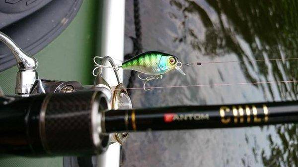 post-2551-0-07498400-1435238940_thumb.jp