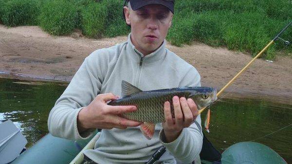 post-2551-0-19243500-1435238964_thumb.jp