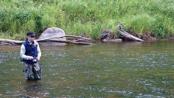 post-2551-0-19249700-1435237380_thumb.jp