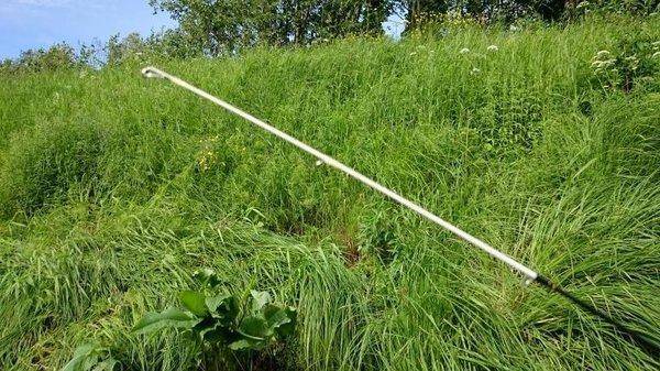 post-2551-0-21125900-1435234613_thumb.jp