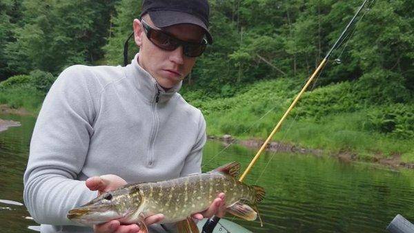 post-2551-0-60531200-1435238037_thumb.jp