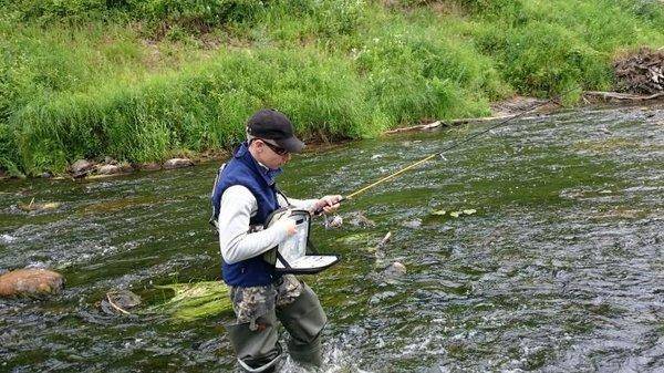 post-2551-0-66070000-1435237498_thumb.jp