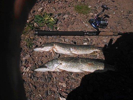 post-1039-0-55119300-1405078976_thumb.jp