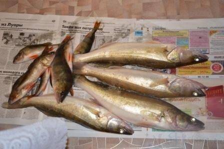 post-1091-0-04577300-1404330678_thumb.jp