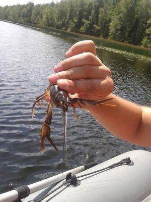 post-1209-0-05693400-1404824699_thumb.jp