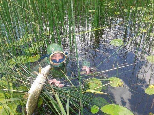 post-1209-0-29828000-1404824719_thumb.jp